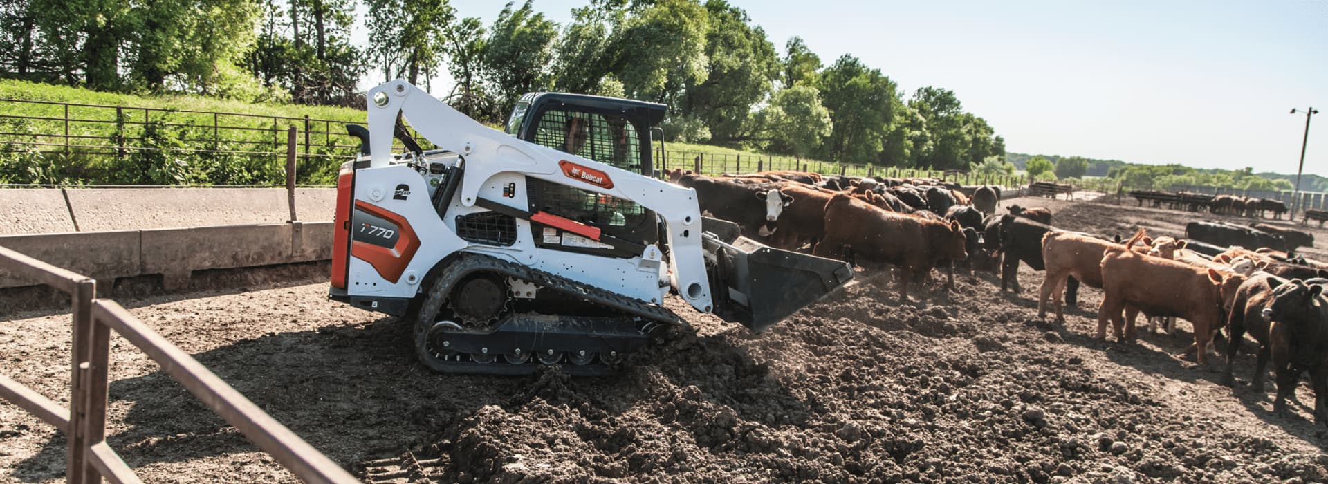 Bobcat Skid Steer